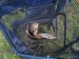 2014-04-19 009 verkleind